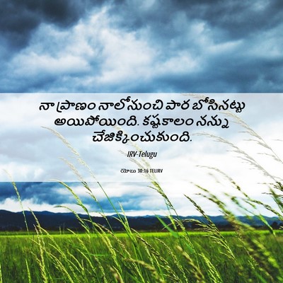 Picture 06 - యోబు 30:16 TELIRV - నా ప్రాణం - Bible Verse Picture