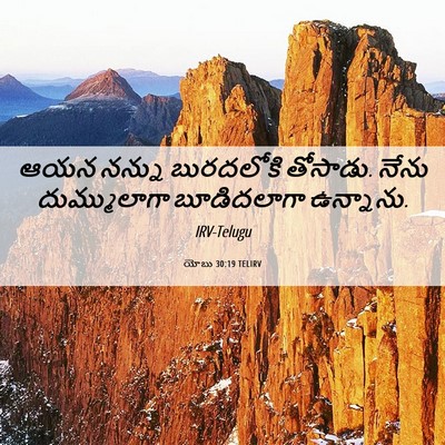Picture 06 - యోబు 30:19 TELIRV - ఆయన నన్ను - Bible Verse Picture