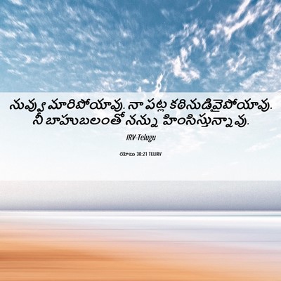 Picture 06 - యోబు 30:21 TELIRV - నువ్వు - Bible Verse Picture