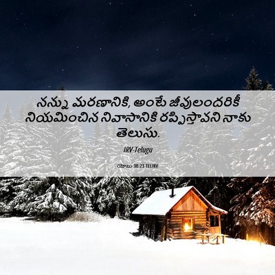 Picture 06 - యోబు 30:23 TELIRV - నన్ను మరణానికి, - Bible Verse Picture