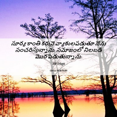 Picture 06 - యోబు 30:28 TELIRV - సూర్య కాంతి కరువై - Bible Verse Picture