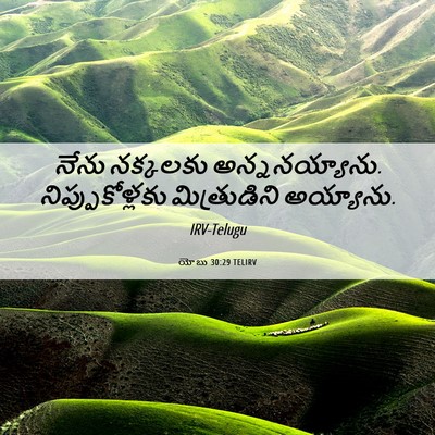 Picture 06 - యోబు 30:29 TELIRV - నేను నక్కలకు - Bible Verse Picture
