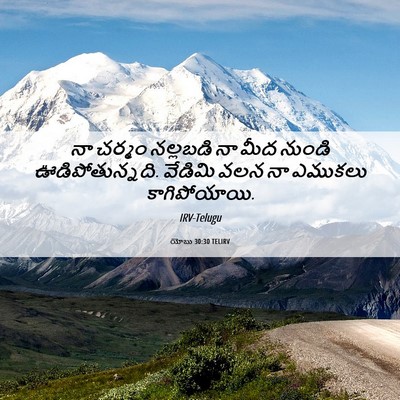 Picture 06 - యోబు 30:30 TELIRV - నా చర్మం నల్లబడి - Bible Verse Picture