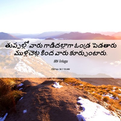 Picture 06 - యోబు 30:7 TELIRV - తుప్పల్లో వారు - Bible Verse Picture