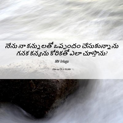 Picture 06 - యోబు 31:1 TELIRV - నేను నా కన్నులతో - Bible Verse Picture