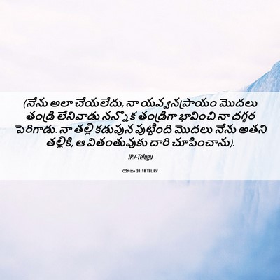 Picture 06 - యోబు 31:18 TELIRV - (నేను అలా చేయలేదు, - Bible Verse Picture