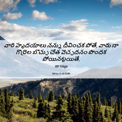 Picture 06 - యోబు 31:20 TELIRV - వారి హృదయాలు - Bible Verse Picture