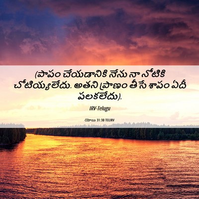 Picture 06 - యోబు 31:30 TELIRV - (పాపం చేయడానికి - Bible Verse Picture