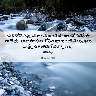 Picture 06 - యోబు 31:32 TELIRV - (పరదేశి ఎప్పుడూ - Bible Verse Picture