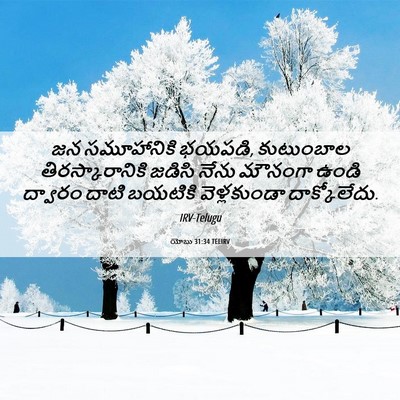 Picture 06 - యోబు 31:34 TELIRV - జన సమూహానికి - Bible Verse Picture