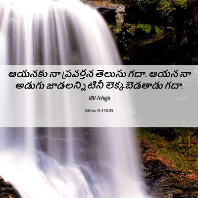 Picture 06 - యోబు 31:4 TELIRV - ఆయనకు నా ప్రవర్తన - Bible Verse Picture