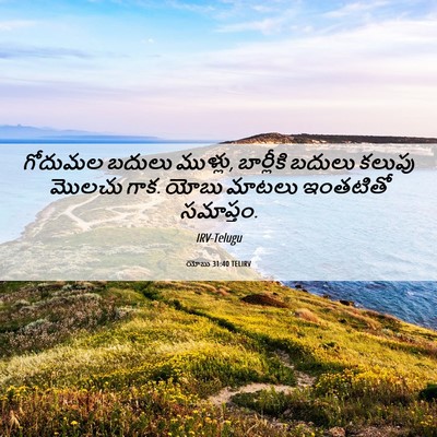 Picture 06 - యోబు 31:40 TELIRV - గోదుమల బదులు - Bible Verse Picture