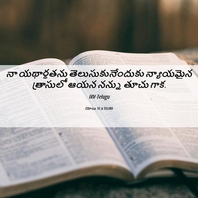 Picture 06 - యోబు 31:6 TELIRV - నా యథార్థతను - Bible Verse Picture