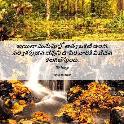 Picture 06 - యోబు 32:8 TELIRV - అయినా మనుషుల్లో - Bible Verse Picture