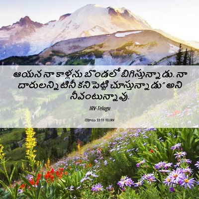 Picture 06 - యోబు 33:11 TELIRV - ఆయన నా కాళ్లను - Bible Verse Picture