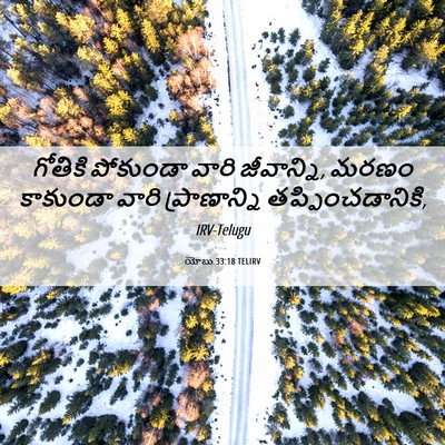 Picture 06 - యోబు 33:18 TELIRV - గోతికి పోకుండా - Bible Verse Picture