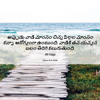 Picture 06 - యోబు 33:25 TELIRV - అప్పుడు వాడి - Bible Verse Picture