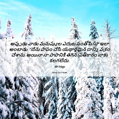 Picture 06 - యోబు 33:27 TELIRV - అప్పుడు వాడు - Bible Verse Picture