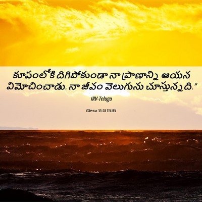 Picture 06 - యోబు 33:28 TELIRV - కూపంలోకి - Bible Verse Picture