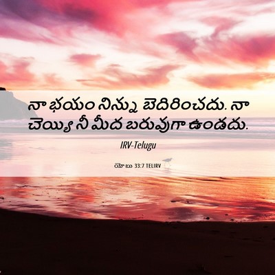 Picture 06 - యోబు 33:7 TELIRV - నా భయం నిన్ను - Bible Verse Picture