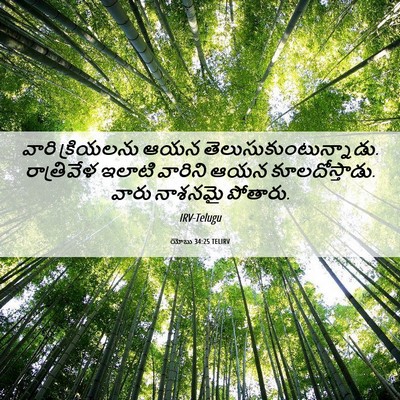 Picture 06 - యోబు 34:25 TELIRV - వారి క్రియలను ఆయన - Bible Verse Picture