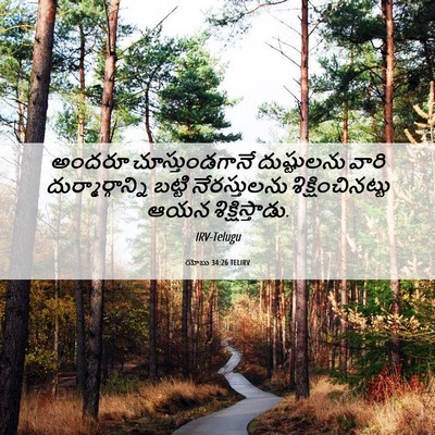 Picture 06 - యోబు 34:26 TELIRV - అందరూ - Bible Verse Picture