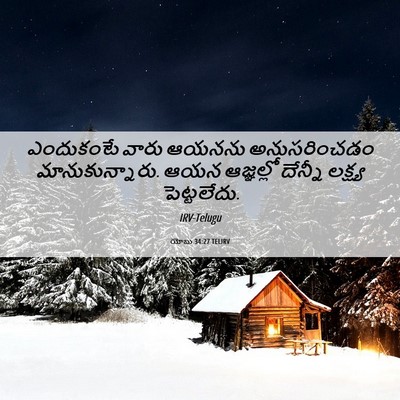 Picture 06 - యోబు 34:27 TELIRV - ఎందుకంటే వారు - Bible Verse Picture