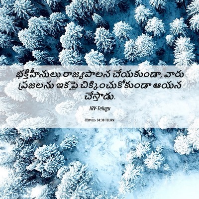 Picture 06 - యోబు 34:30 TELIRV - భక్తిహీనులు - Bible Verse Picture