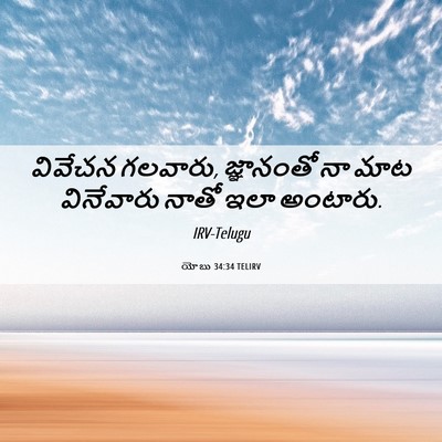 Picture 06 - యోబు 34:34 TELIRV - వివేచన గలవారు, - Bible Verse Picture