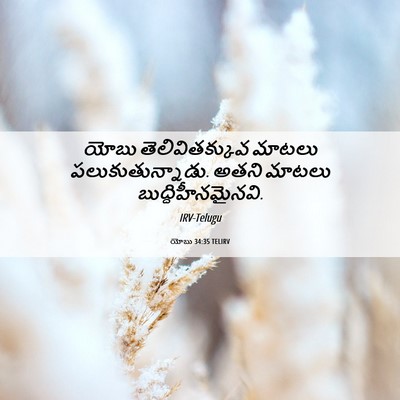 Picture 06 - యోబు 34:35 TELIRV - యోబు తెలివితక్కువ - Bible Verse Picture