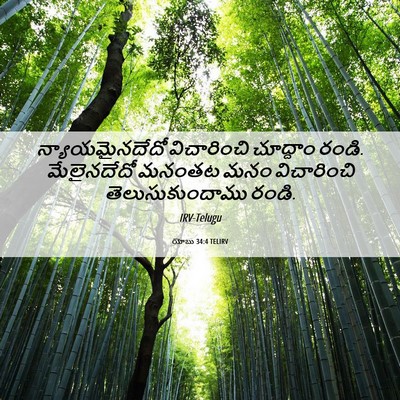 Picture 06 - యోబు 34:4 TELIRV - న్యాయమైనదేదో - Bible Verse Picture