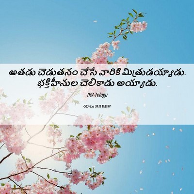 Picture 06 - యోబు 34:8 TELIRV - అతడు చెడుతనం చేసే - Bible Verse Picture