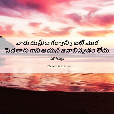 Picture 06 - యోబు 35:12 TELIRV - వారు దుష్టుల - Bible Verse Picture