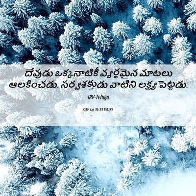 Picture 06 - యోబు 35:13 TELIRV - దేవుడు ఒక్కనాటికీ - Bible Verse Picture