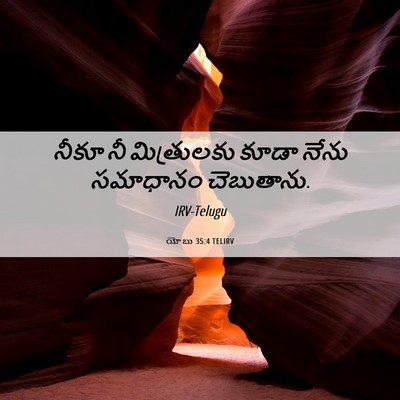 Picture 06 - యోబు 35:4 TELIRV - నీకూ నీ మిత్రులకు - Bible Verse Picture