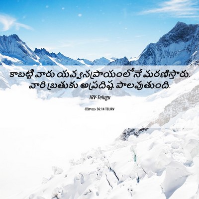Picture 06 - యోబు 36:14 TELIRV - కాబట్టి వారు - Bible Verse Picture
