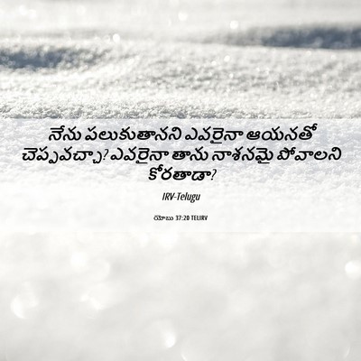 Picture 06 - యోబు 37:20 TELIRV - నేను పలుకుతానని - Bible Verse Picture