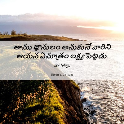 Picture 06 - యోబు 37:24 TELIRV - తాము జ్ఞానులం - Bible Verse Picture