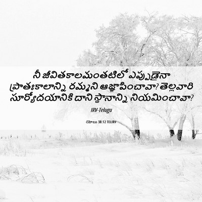 Picture 06 - యోబు 38:12 TELIRV - నీ - Bible Verse Picture