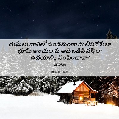 Picture 06 - యోబు 38:13 TELIRV - దుష్టులు దానిలో - Bible Verse Picture