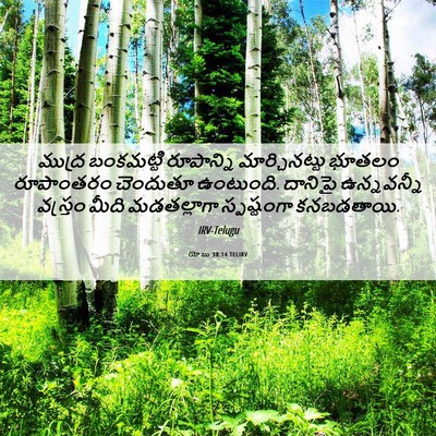 Picture 06 - యోబు 38:14 TELIRV - ముద్ర బంకమట్టి - Bible Verse Picture
