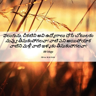 Picture 06 - యోబు 38:20 TELIRV - వెలుగును, చీకటిని - Bible Verse Picture