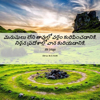 Picture 06 - యోబు 38:25 TELIRV - మనుషులు లేని - Bible Verse Picture