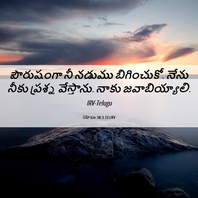 Picture 06 - యోబు 38:3 TELIRV - పౌరుషంగా నీ నడుము - Bible Verse Picture