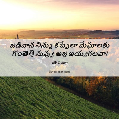 Picture 06 - యోబు 38:34 TELIRV - జడివాన నిన్ను - Bible Verse Picture
