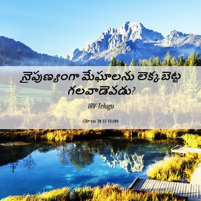 Picture 06 - యోబు 38:37 TELIRV - నైపుణ్యంగా - Bible Verse Picture