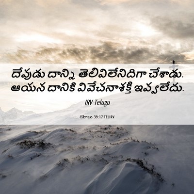 Picture 06 - యోబు 39:17 TELIRV - దేవుడు దాన్ని - Bible Verse Picture