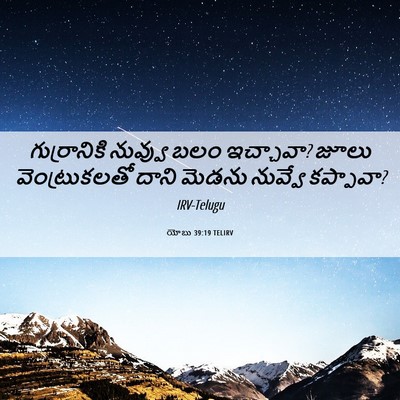 Picture 06 - యోబు 39:19 TELIRV - గుర్రానికి నువ్వు - Bible Verse Picture
