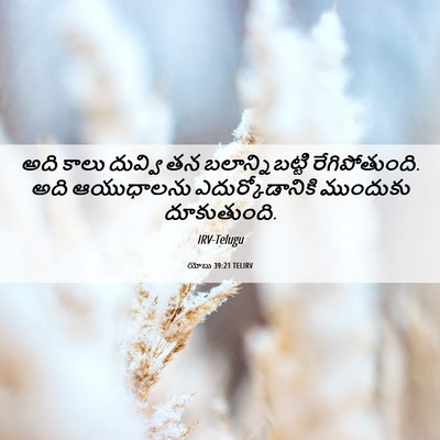 Picture 06 - యోబు 39:21 TELIRV - అది కాలు దువ్వి తన - Bible Verse Picture