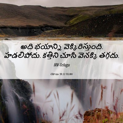 Picture 06 - యోబు 39:22 TELIRV - అది భయాన్ని - Bible Verse Picture